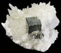 Gleaming, Cubic Pyrite With Quartz Crystals - Peru #54981-1